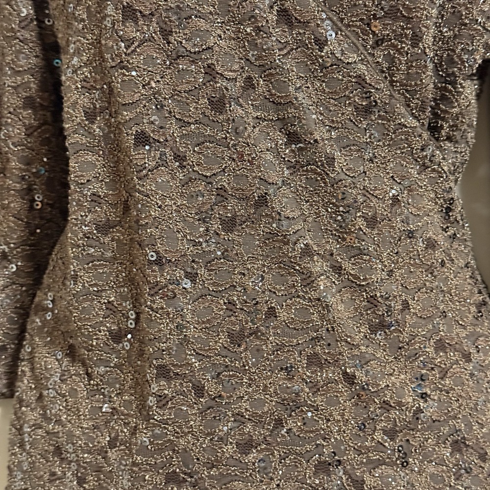 Joseph Ribkoff Blouse SZ 8 Quiet Luxury Glam Evening stretch Shimmery Fairy - Picture 6 of 8